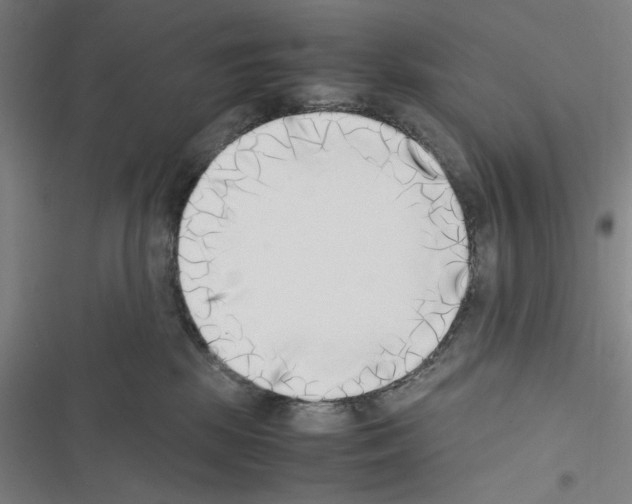 X0000116460281201001201306