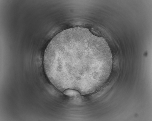 X0000116460282201001201306