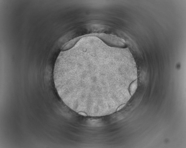 X0000116460283201001201306