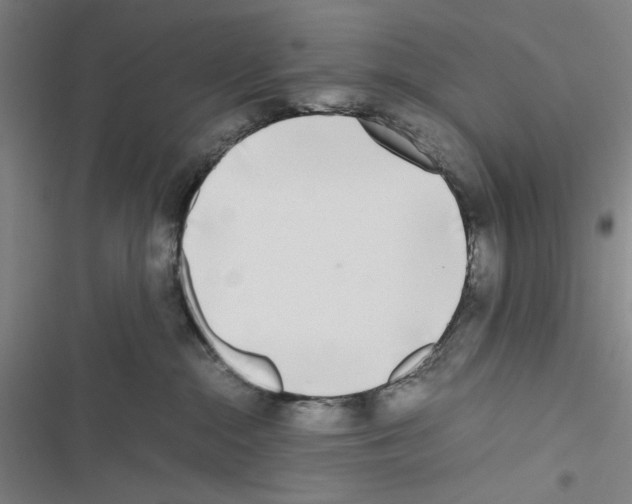 X0000116460284201001201306