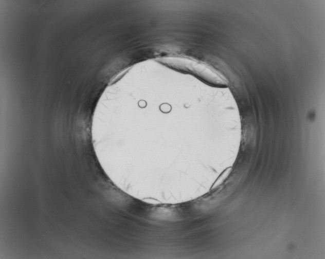 X0000116460285201001201306