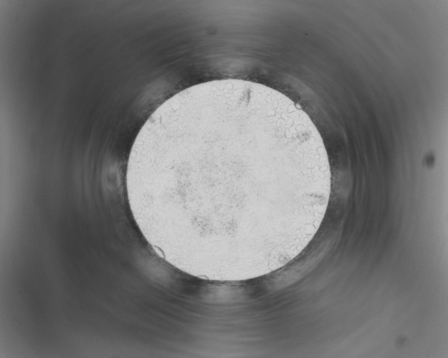 X0000116460286201001201306