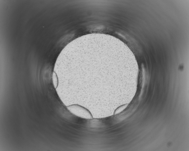 X0000116460287201001201307