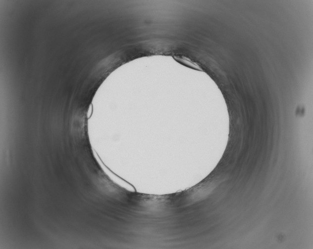 X0000116460288201001201307