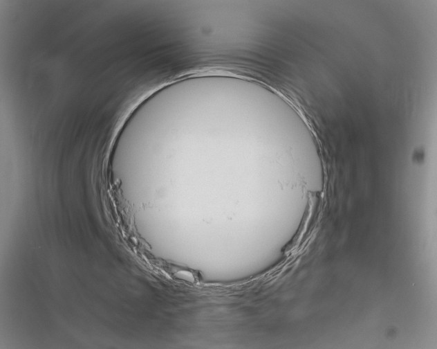 X0000116460289201001201306