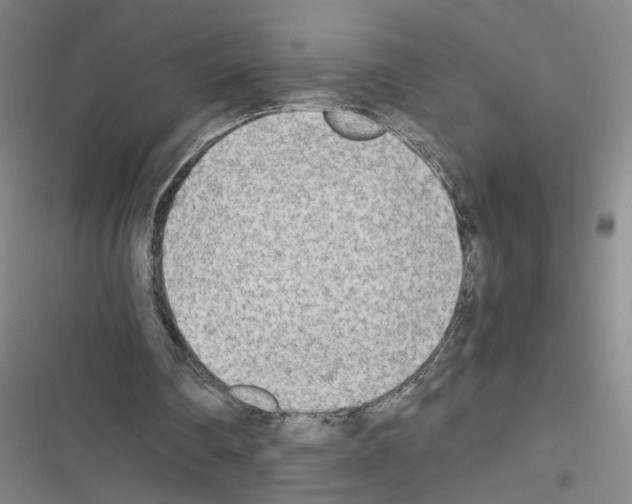 X0000116460290201001201306