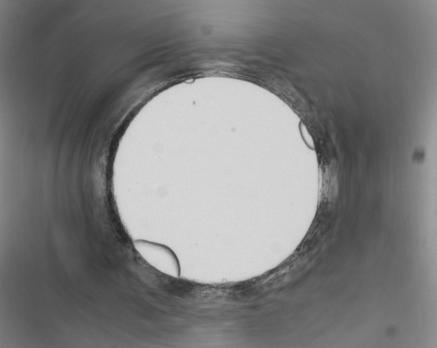 X0000116460291201001201306
