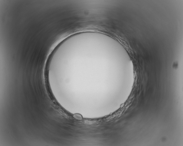 X0000116460292201001201306