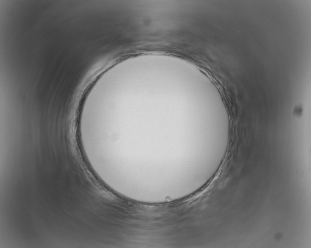X0000116460293201001201306