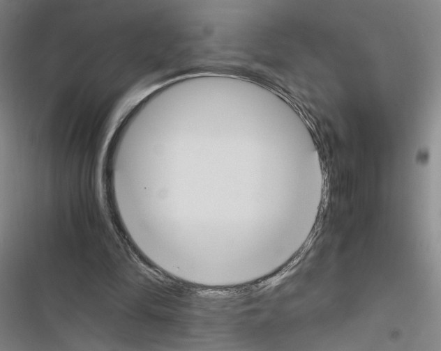 X0000116460294201001201306