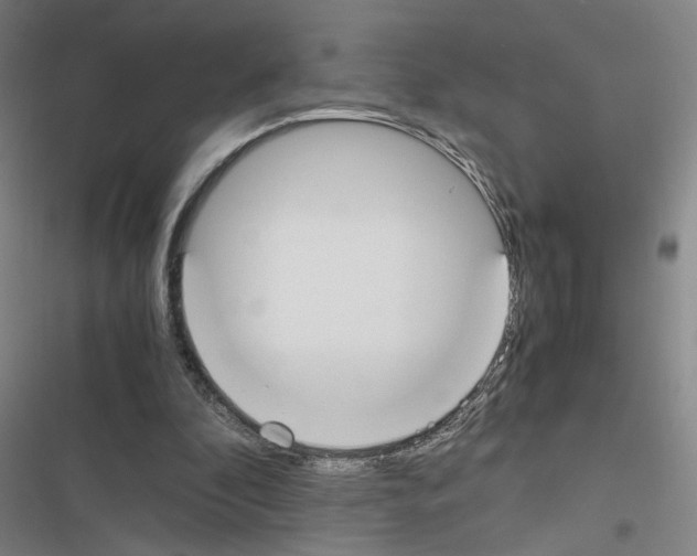 X0000116460296201001201306