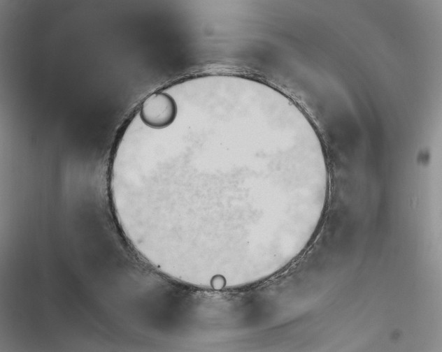 X0000116460297201001201306