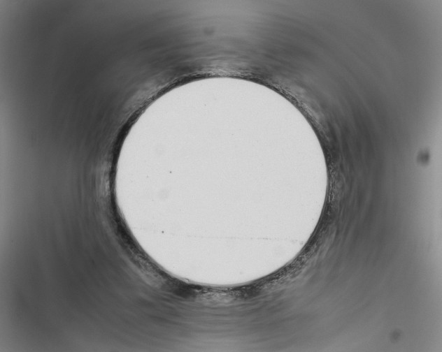 X0000116460299201001201306