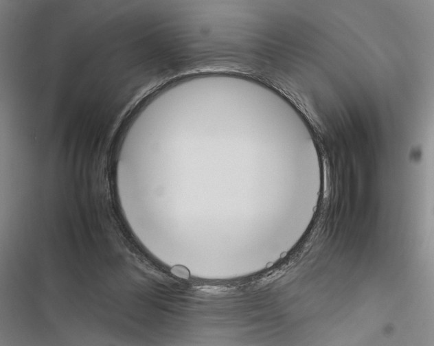 X0000116460300201001201306