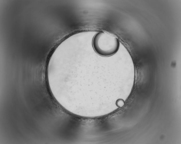 X0000116460301201001201306