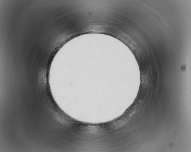 X0000116460302201001201306