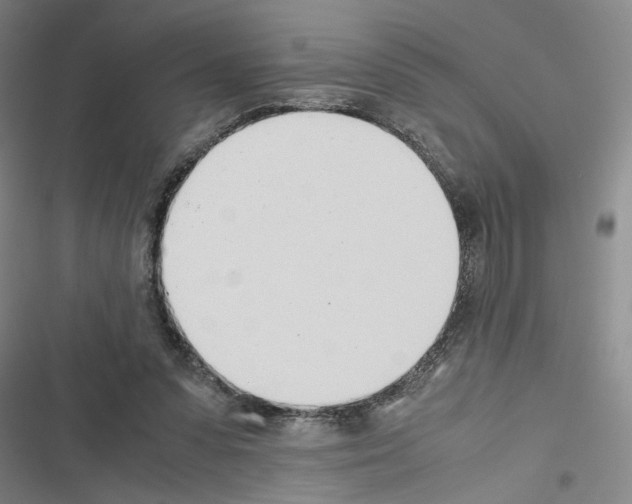 X0000116460303201001201306