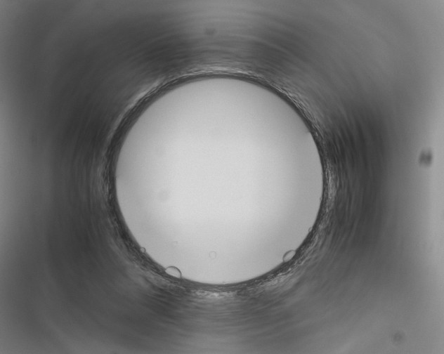 X0000116460304201001201306