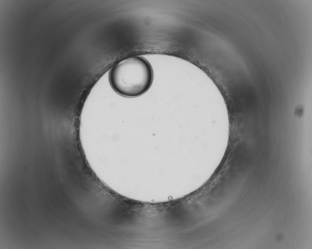 X0000116460305201001201306