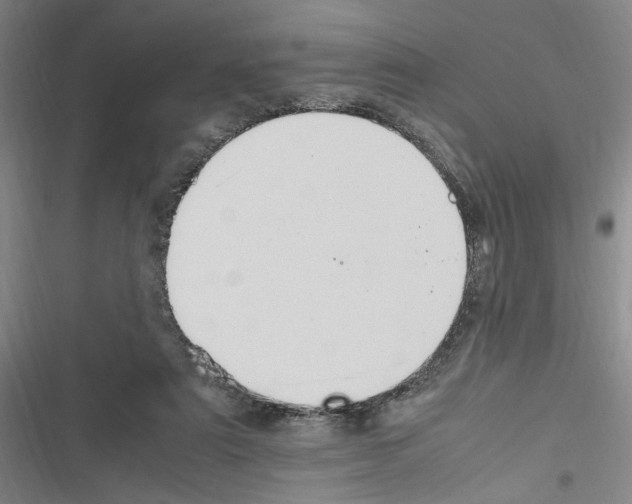 X0000116460307201001201306