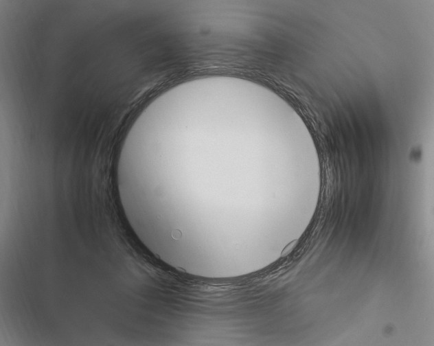 X0000116460308201001201306