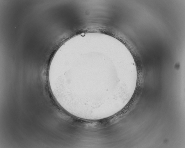 X0000116460309201001201306