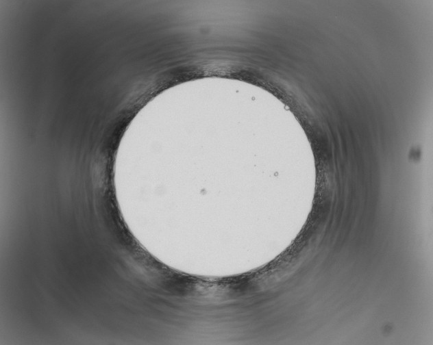 X0000116460311201001201306