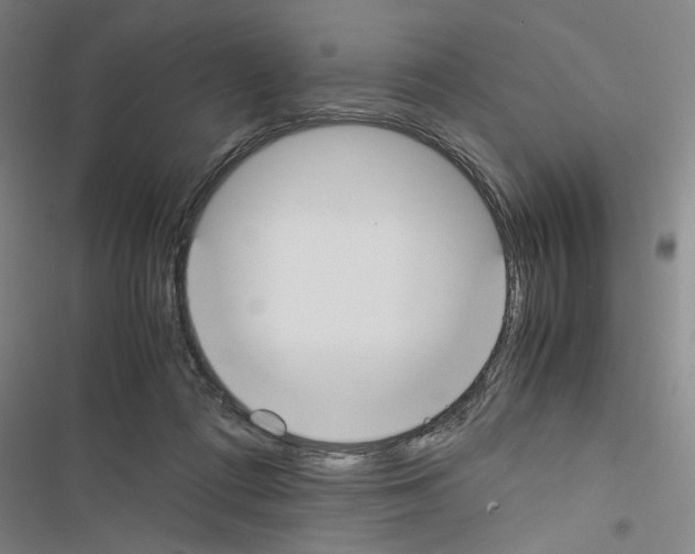 X0000116460312201001201306