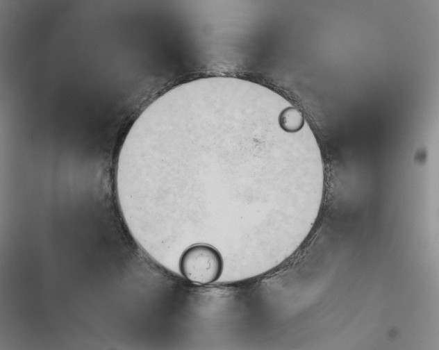 X0000116460313201001201306