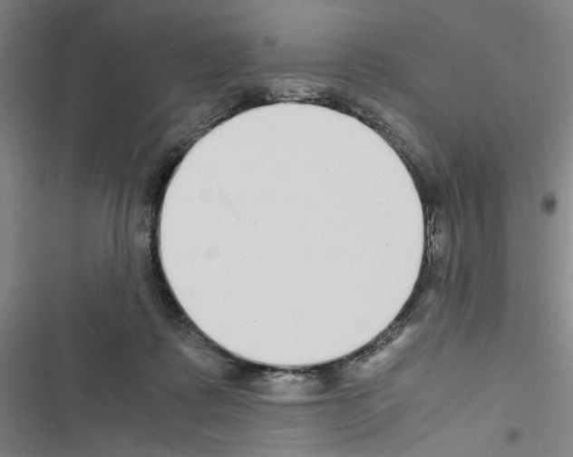 X0000116460315201001201306