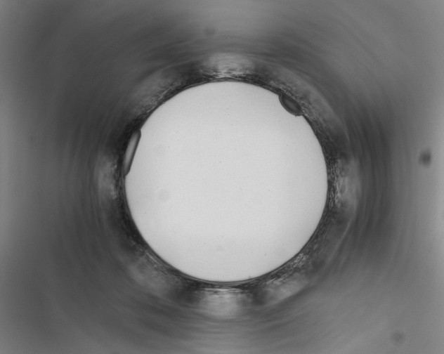 X0000116460316201001201305