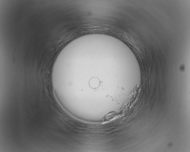 X0000116460317201001201305