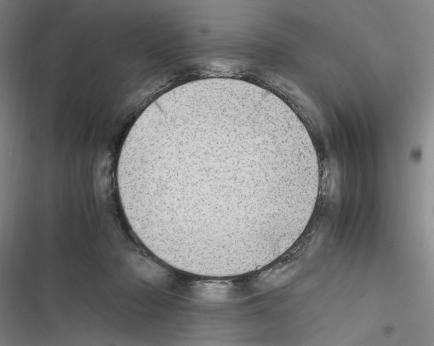 X0000116460318201001201305