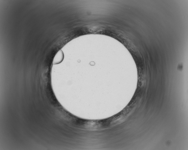 X0000116460319201001201305