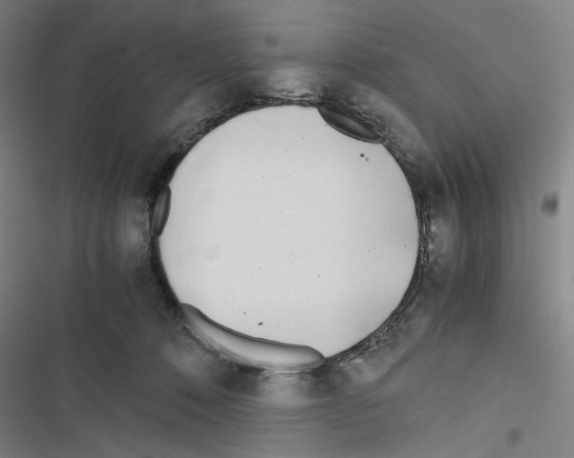 X0000116460320201001201305