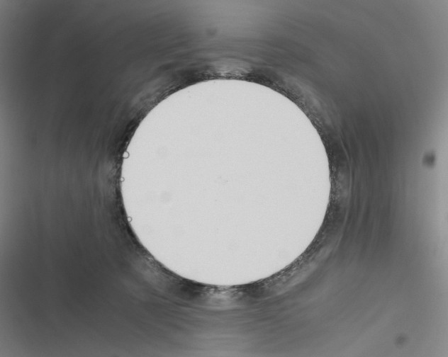 X0000116460321201001201305