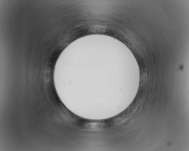 X0000116460323201001201305