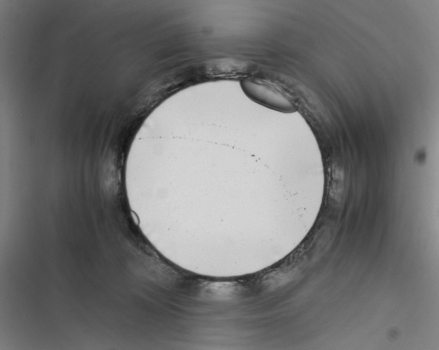X0000116460324201001201305