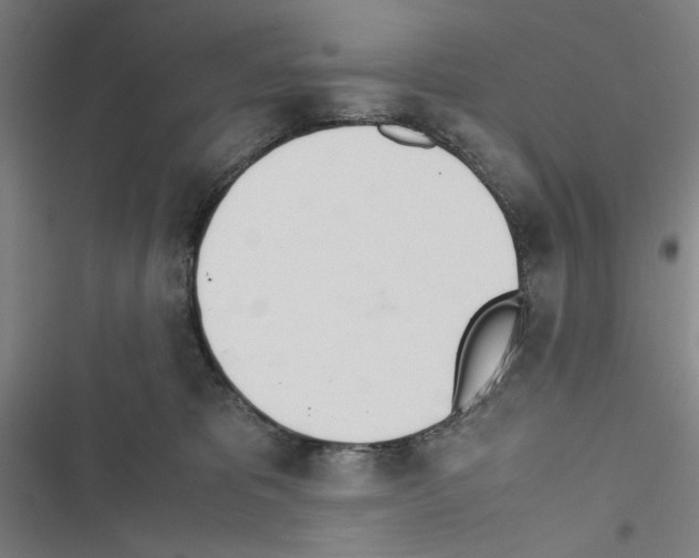 X0000116460325201001201305