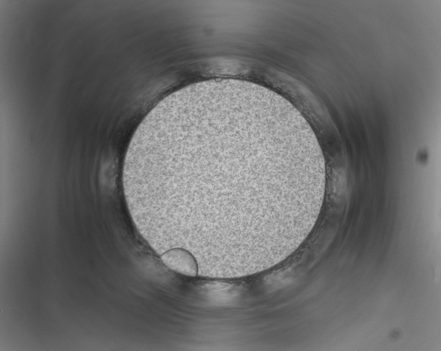 X0000116460326201001201305