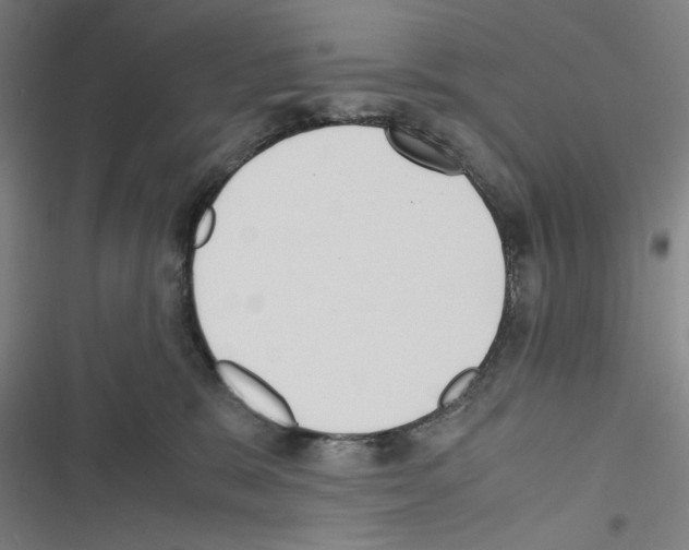 X0000116460327201001201305