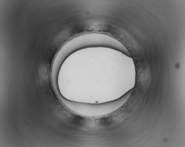 X0000116460328201001201305