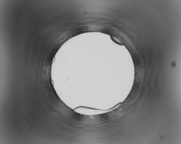 X0000116460329201001201305
