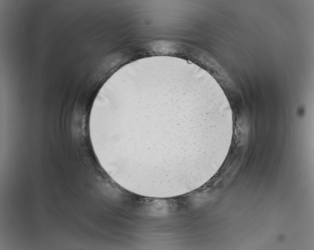 X0000116460330201001201305