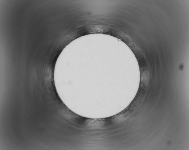 X0000116460331201001201305