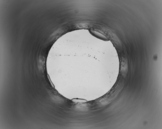 X0000116460332201001201305