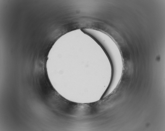 X0000116460333201001201305