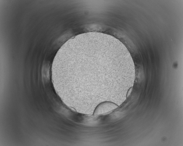 X0000116460334201001201305