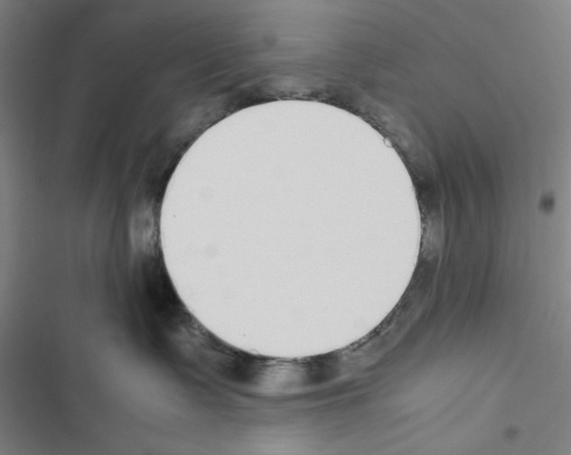 X0000116460335201001201305