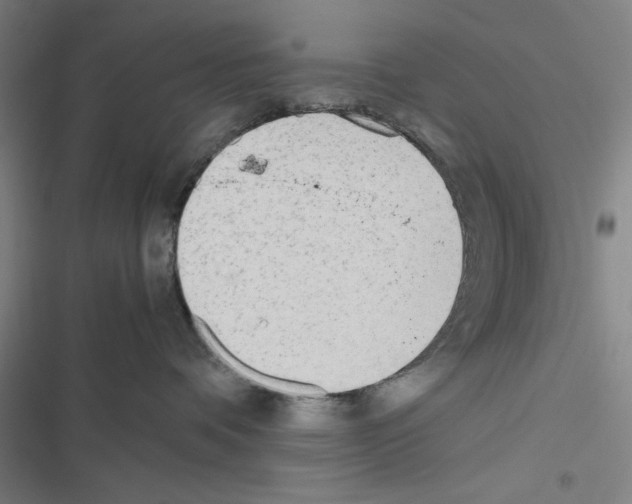 X0000116460336201001201305